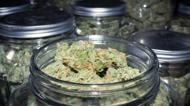 Mason Jars Filled with Cannabis