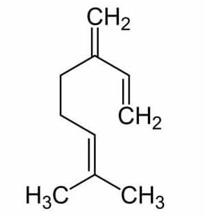 Myrcene Molecule