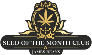 Seed Of The Month