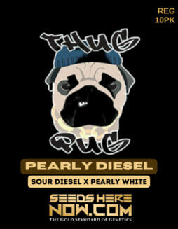 Thug Pug Genetics - Pearly Diesel {REG} [10pk]Thug Pug Pearly Diesel