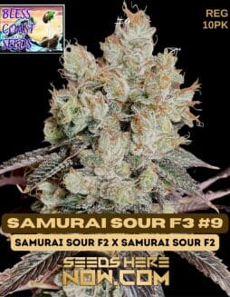 Bless Coast Seeds - Samurai Sour F3 #9 {REG} [10pk]Bless Coast Seeds Samurai Sour F3 #9
