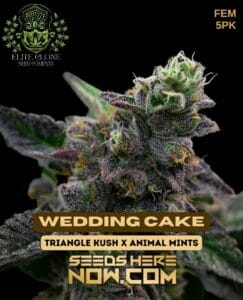 Wedding Cake S1 (feminized) - Elite Clone Seed Company
