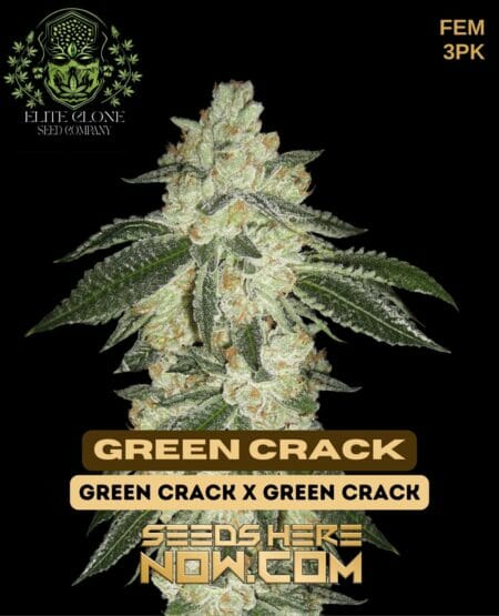 Elite Green Crack