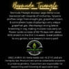 Bermuda Triangle (feminized) - Precursor Genetics