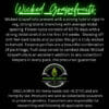 Wicked grapefruits (feminized) - precursor genetics
