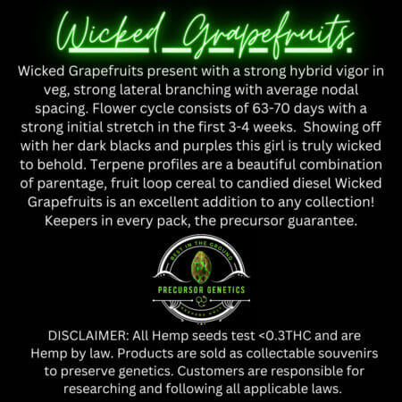 Wicked Grapefruit