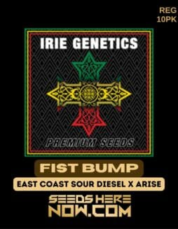 Irie Genetics - Fist Bump {REG} [10pk]Irie Fist Bump