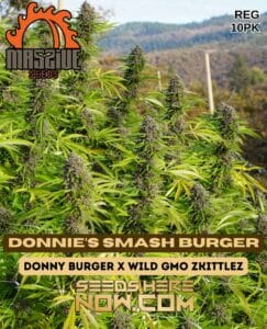 Donnie’s Smash Burger (Regular) - Massive Seeds