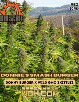 Massive Seeds - Donnie’s Smash Burger {REG} [10pk]Massive Donnie’s Smash Burger