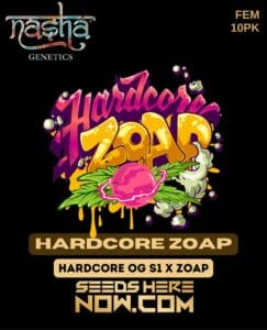 Hardcore Zoap (feminized) - Nasha Genetics