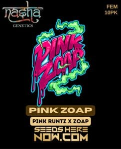 Pink Zoap (feminized) - Nasha Genetics