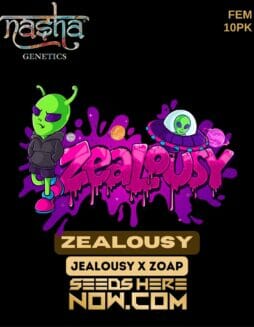 Nasha Genetics - Zealousy {FEM} [10pk]Nasha Zealousy