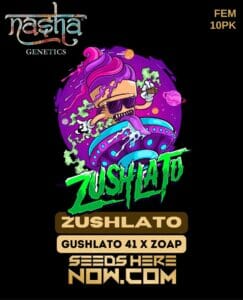 Zushlato (feminized) - Nasha Genetics
