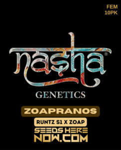 Zoapranoz (feminized) - Nasha Genetics