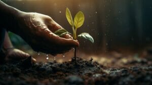 Troubleshooting Common Issues During the Germination Process
