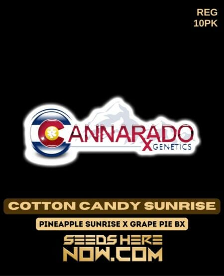 Cannarado - Cotton Candy Sunrise
