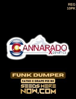 Cannarado Genetics - Funk Dumper {REG} [10pk]Cannarado Genetics - Funk Dumper