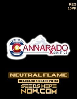 Cannarado Genetics - Neutral Flame {REG} [10pk]Cannarado Genetics - Neutral Flame