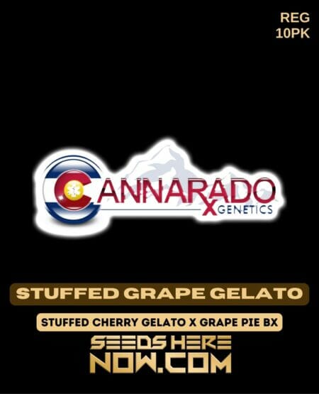 Cannarado Genetics - Stuffed Grape Gelato