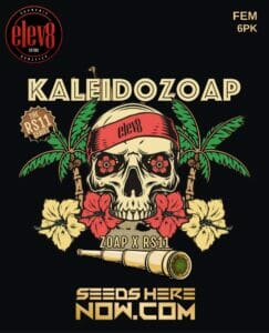 Kaleidozoap (feminized) - Elev8 Seeds