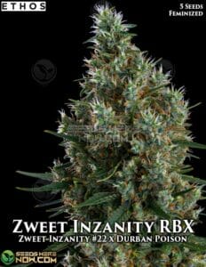 Zweet Inzanity Rbx (feminized) - Ethos Genetics