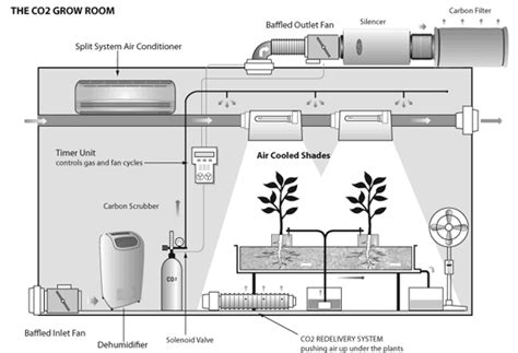 Unlocking The Importance Of Proper Grow Room Ventilation In A Cannabis – An infographic displaying the recommended temperature and humidity levels for each stage of cannabis growth: seedling, vegetative, flowering, and late flowering