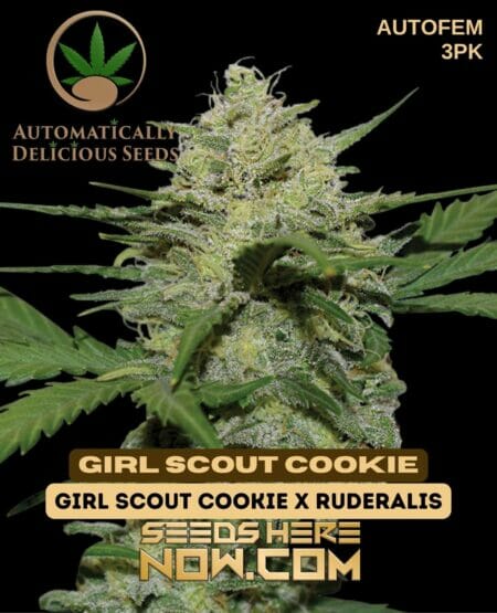 Automatically Delicious - Girl Scout Cookie Auto