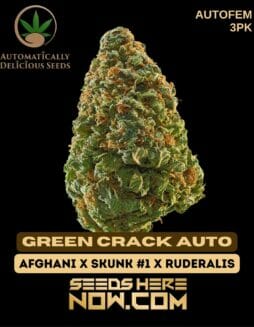 Automatically Delicious - Green Crack Auto {AUTOFEM} [3pk]Automatically Delicious - Green Crack Auto 3