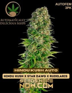 Automatically Delicious - Hindu Kush Auto {AUTOFEM} [3pk]Automatically Delicious - Hindu Kush Auto 3