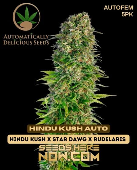 Automatically Delicious - Hindu Kush Auto 5