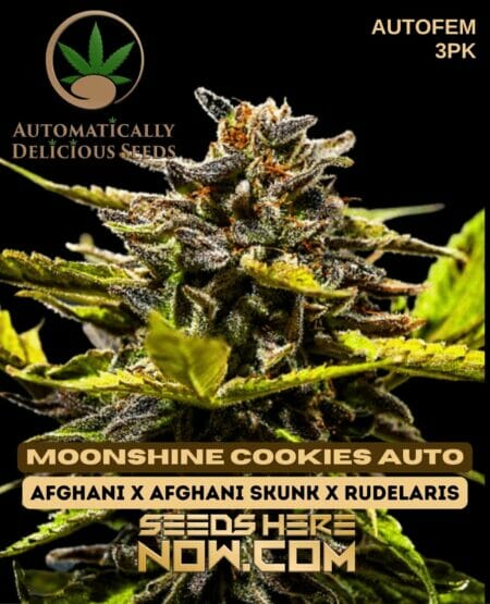 Automatically Delicious - Moonshine Cookies Auto