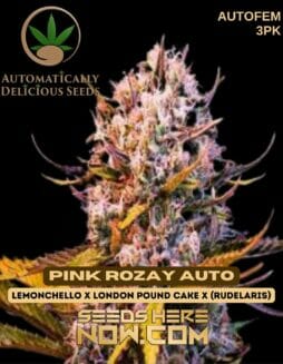 Automatically Delicious - Pink Rozay Auto {AUTOFEM} [3pk]Automatically Delicious - Pink Rozay Auto