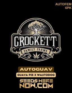 Crockett Family Farms - Autoguav {AUTOFEM} [6pk]Crockett Family Farms - Autoguav {AUTOFEM} [6pk]