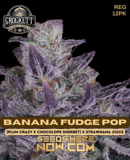 Crockett Family Farms - Banana Fudge Pop {reg} [12pk]