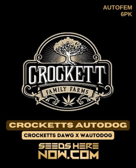 Crockett Family Farms - Crocketts Autodog {autofem} [6pk]