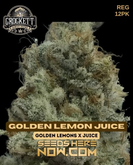 Crockett Family Farms - Golden Lemon Juice {reg} [12pk]