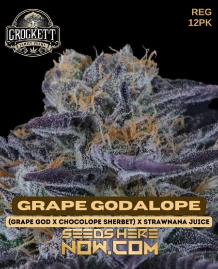 Crockett Family Farms - Grape Godalope {reg} [12pk]