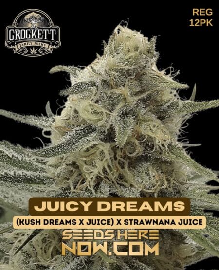 Crockett Family Farms - Juicy Dreams {reg} [12pk]