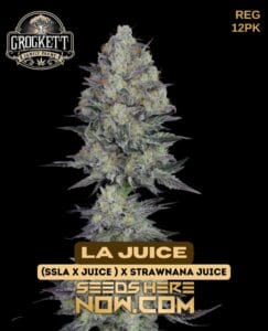 La Juice (regular) - Crockett Family Farms