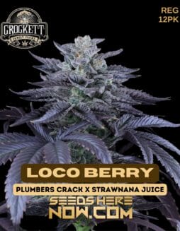 Crockett Family Farms - Loco Berry {REG} [12pk]Crockett Family Farms - Loco Berry {reg} [12pk]