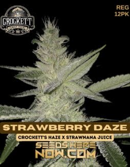 Crockett Family Farms - Strawberry Daze {REG} [12pk]Crockett Family Farms - Strawberry Daze {reg} [12pk]