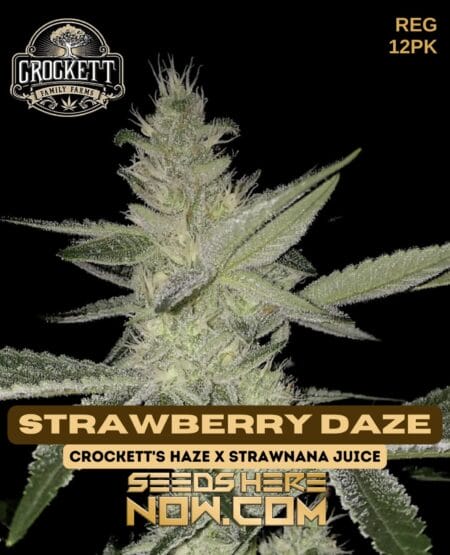 Crockett Family Farms - Strawberry Daze {reg} [12pk]