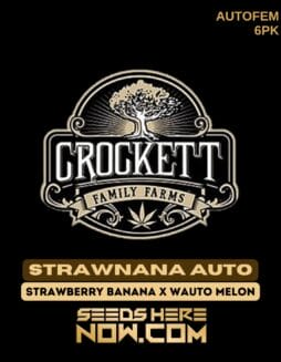 Crockett Family Farms - Strawnana Auto {AUTOFEM} [6pk]Crockett Family Farms - Strawnana Auto {AUTOFEM} [6pk]