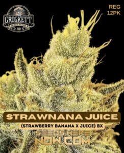 Strawnana juice (regular) - crockett family farms
