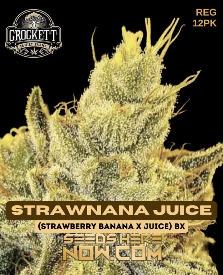 Buy Strawnana Juice Regular Seeds - Potent And Flavorful