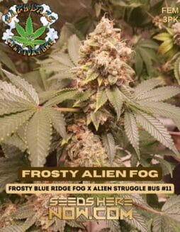 Eazy Daze Cultivators - Frosty Alien Fog {FEM} [3pk]Eazy Daze Cultivators - Frosty Alien Fog 3