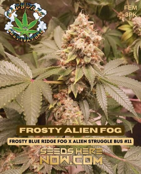 Eazy Daze Cultivators - Frosty Alien Fog 3