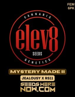 Elev8 Seeds - Mystery Made II {FEM} [6pk]Elev8 Seeds - Mystery Made II