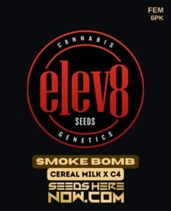 Smoke Bomb (Feminized) - Elev8 Seeds