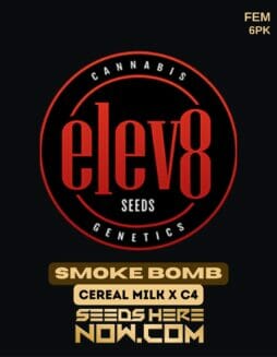 Elev8 Seeds - Smoke Bomb {FEM} [6pk]Elev8 Seeds - Smoke Bomb